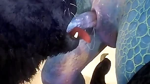 Wolf and lizard have sex first of all the beach - wildlife