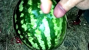 I found a watermelon in the forest and fucked it with two members / male orgasm / russian venal talk / dildo