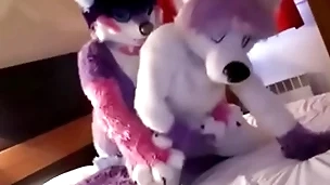 Cute fursuit bottom moans cutely for top