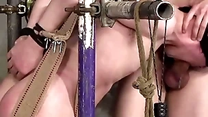Dominant xavier sibley torments bound twink pursue parker