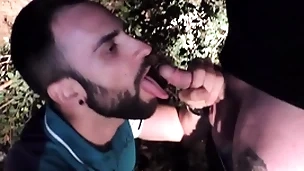 Give someone a once-over blowjob