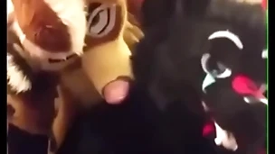 Fursuiters fuck in bathroom while bottom moans loudly
