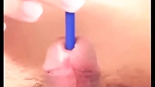 009 cock sounding and creepy-crawly off